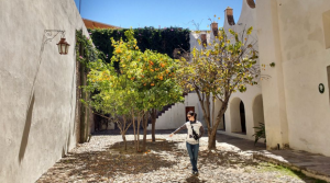 Rodajes y paseos infructuosos