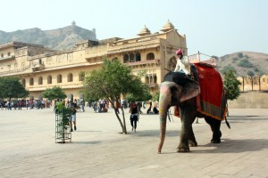 Jaipur, tierra de reyes