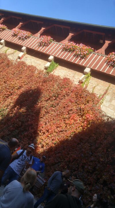 Núremberg, 14 oct 2018