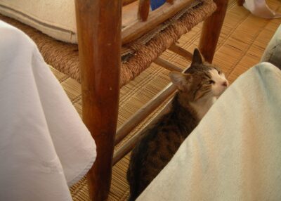 Marrakech, 5 nov 2007