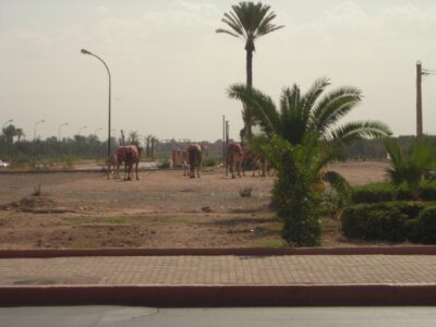 Marrakech, 5 nov 2007