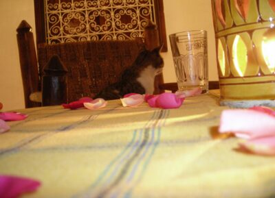 Marrakech, 5 nov 2007