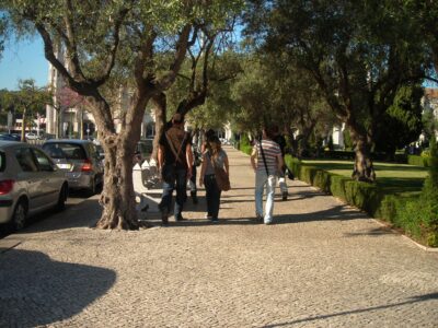 Lisboa, 26 oct 2008