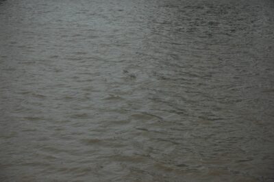 Buenos Aires, 11 may 2009