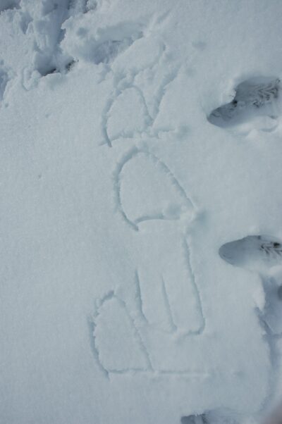 Bariloche, 14 may 2009