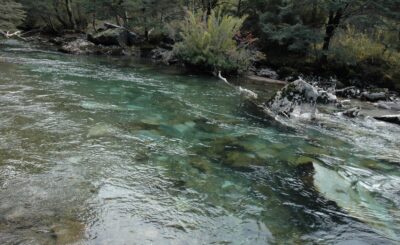 Bariloche, 14 may 2009
