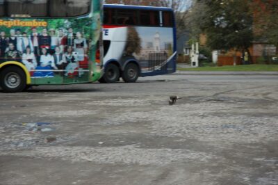 Bariloche, 14 may 2009