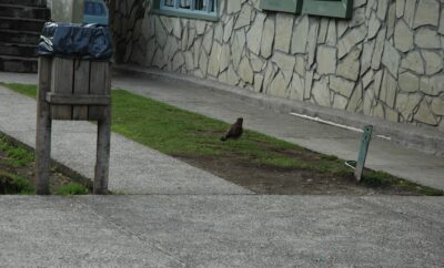 Bariloche, 14 may 2009