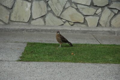 Bariloche, 14 may 2009