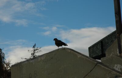 Bariloche, 14 may 2009