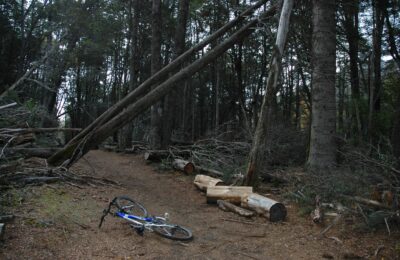 Bariloche, 15 may 2009