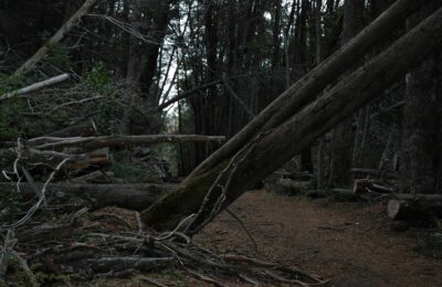 Bariloche, 15 may 2009