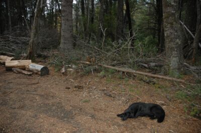 Bariloche, 15 may 2009