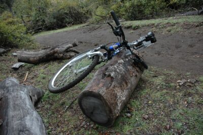 Bariloche, 15 may 2009