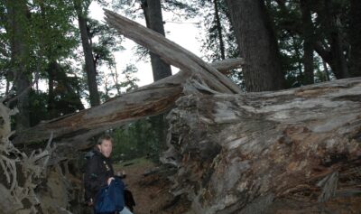 Bariloche, 15 may 2009