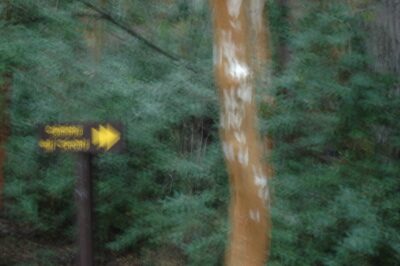 Bariloche, 15 may 2009