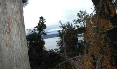 Bariloche, 15 may 2009