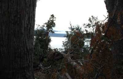 Bariloche, 15 may 2009