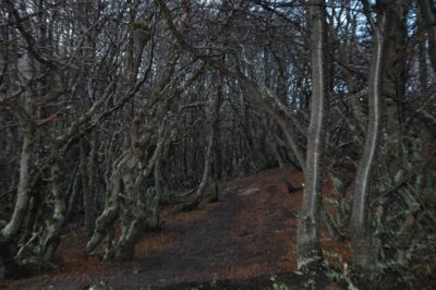 Ushuaia, 20 may 2009