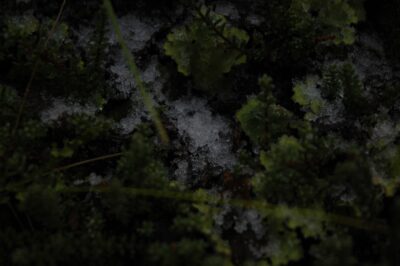 Ushuaia, 20 may 2009