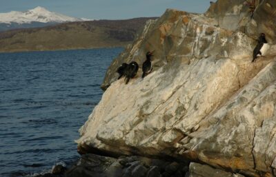 Ushuaia, 20 may 2009