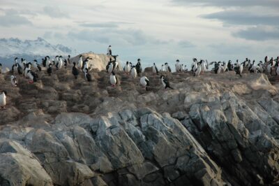 Ushuaia, 20 may 2009