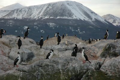 Ushuaia, 20 may 2009