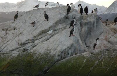 Ushuaia, 20 may 2009