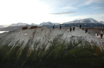 Ushuaia, 20 may 2009