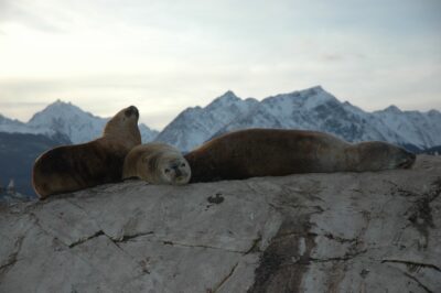 Ushuaia, 20 may 2009