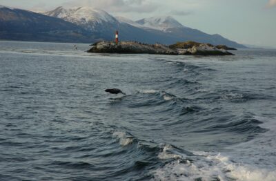 Ushuaia, 20 may 2009