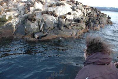 Ushuaia, 20 may 2009