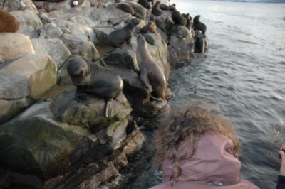 Ushuaia, 20 may 2009