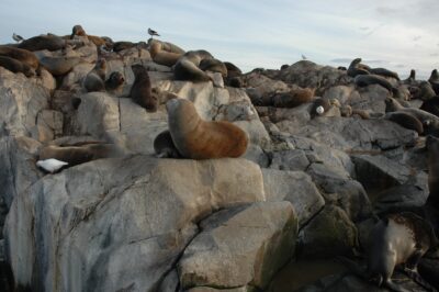Ushuaia, 20 may 2009