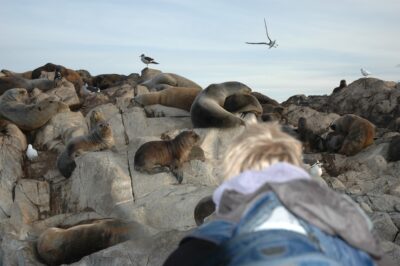 Ushuaia, 20 may 2009