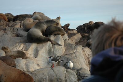 Ushuaia, 20 may 2009