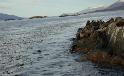 Ushuaia, 20 may 2009