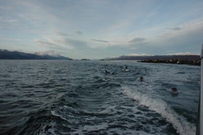 Ushuaia, 20 may 2009