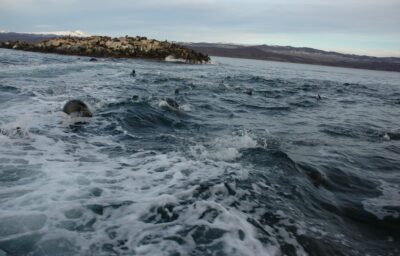 Ushuaia, 20 may 2009