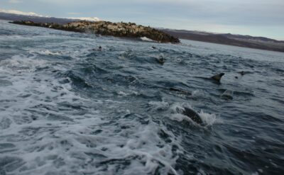 Ushuaia, 20 may 2009