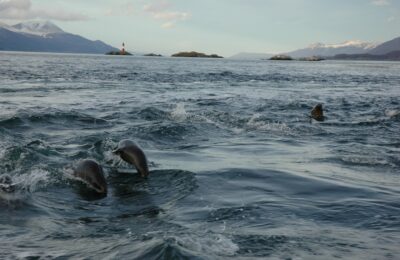 Ushuaia, 20 may 2009