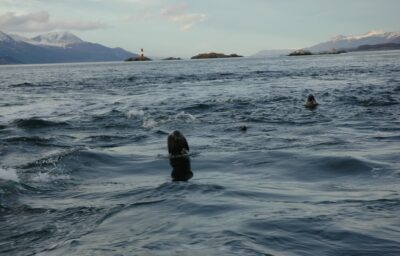 Ushuaia, 20 may 2009