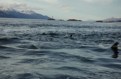 Ushuaia, 20 may 2009