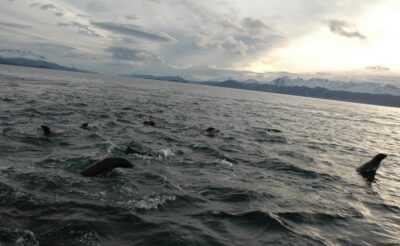 Ushuaia, 20 may 2009