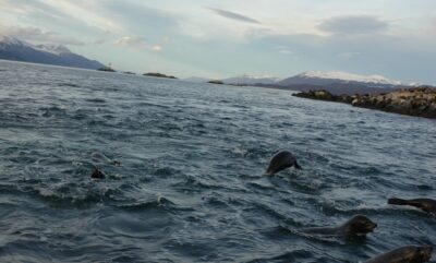 Ushuaia, 20 may 2009