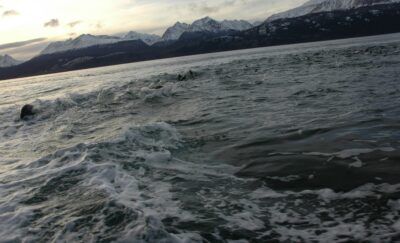 Ushuaia, 20 may 2009
