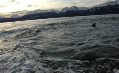 Ushuaia, 20 may 2009