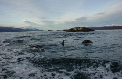 Ushuaia, 20 may 2009