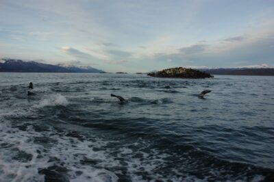 Ushuaia, 20 may 2009