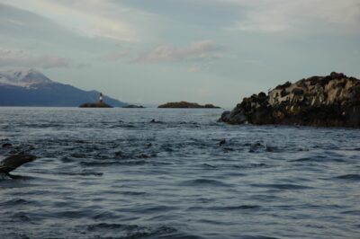 Ushuaia, 20 may 2009